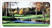 The 10th at the Brabazon Golf Course at the De Vere Belfry